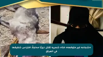 «شجاعة غير متوقعة» فتاة شمرية تقتل ذئبًا محاولًا افتراس شقيقها في العراق